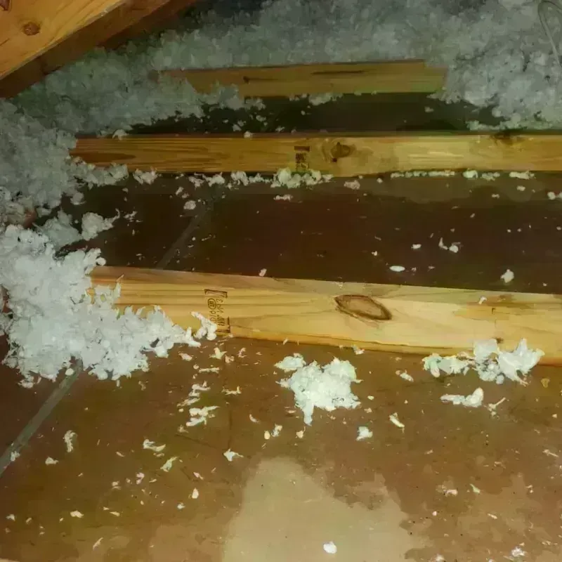 Attic Water Damage in Llano County, TX