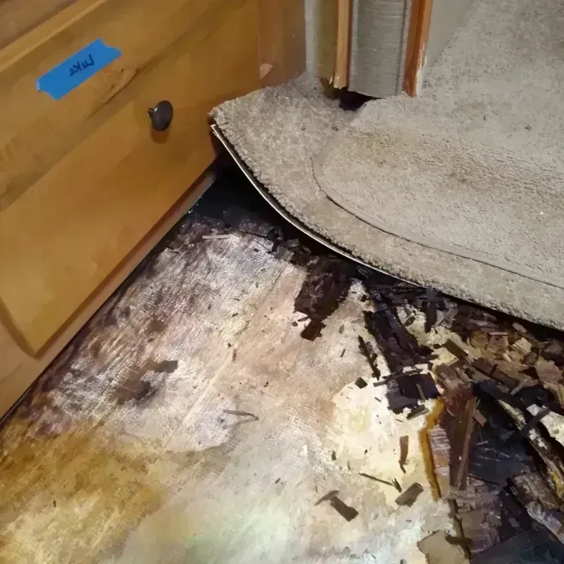 Best Wood Floor Water Damage Service in Llano County, TX